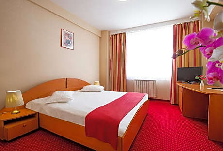 Hotel Dana
