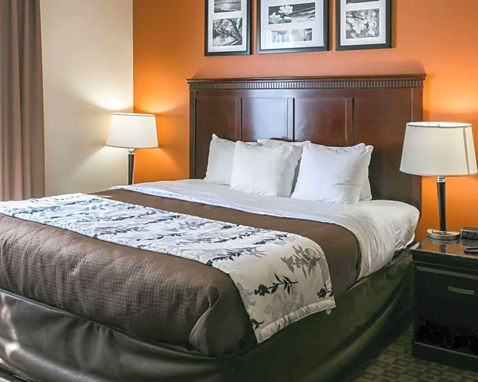Sleep Inn & Suites Hwy 290/Nw Freeway