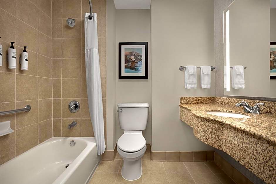 Hilton Garden Inn Dallas Lewisville