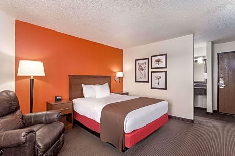 1 King Bed Deluxe Room Non-Smoking