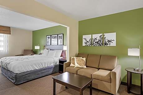 1 King Bed, Suite, Nonsmoking, Accessible
