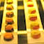 Radisson Bhopal