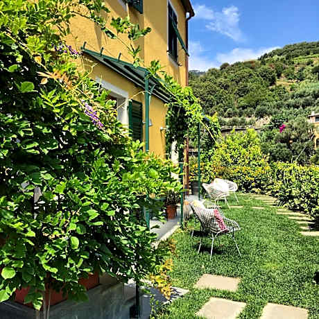 Double or Twin Room with Garden View