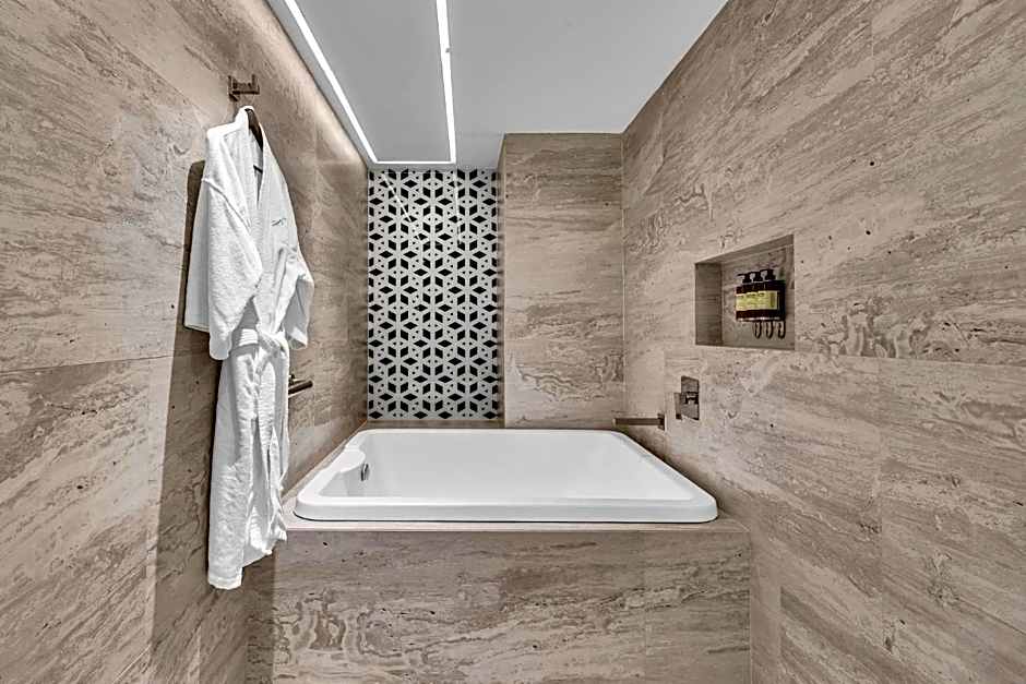 Fiesta Americana Ciudad de México Satelite