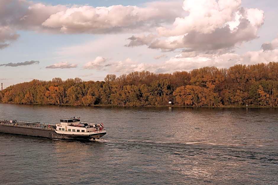 Hotel am Rhein