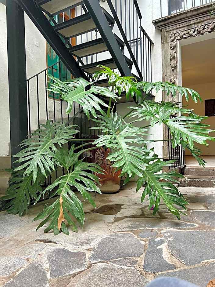 Departamento en planta baja con patio, dos habitaciones con dos ba¿os completos sala y cocina integral Vistas desde la azotea de