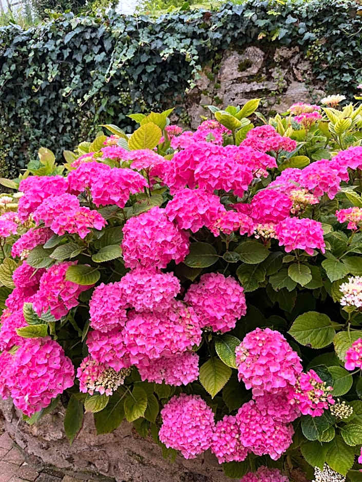 Chambres d'hôtes "Là Je Ris"