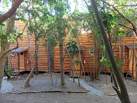 Cabañas Ensenada Bosque Nativo