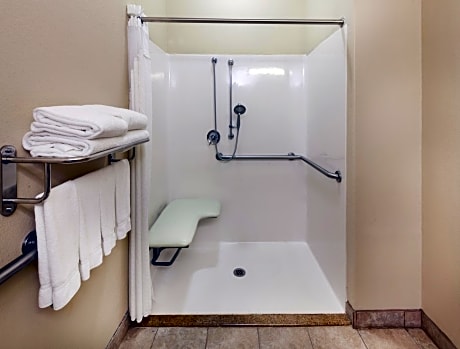 Suite - Disability Access Roll in Shower/Non-Smoking