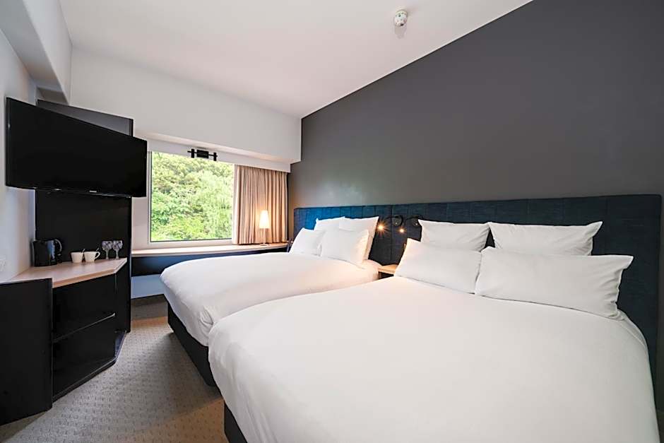 Ibis Rotorua