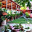 Villa Anjing