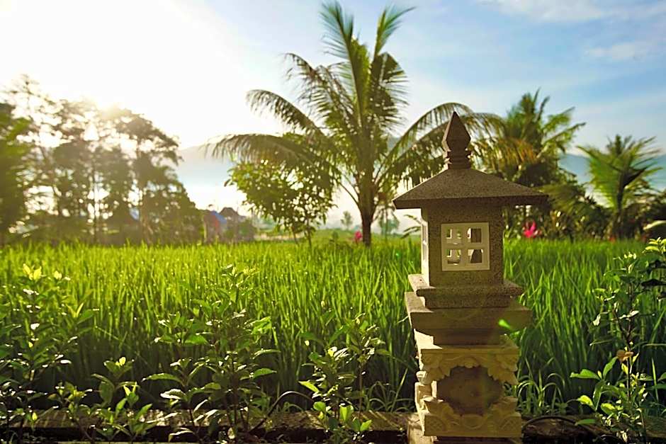 Ume Dukuh Home Sidemen