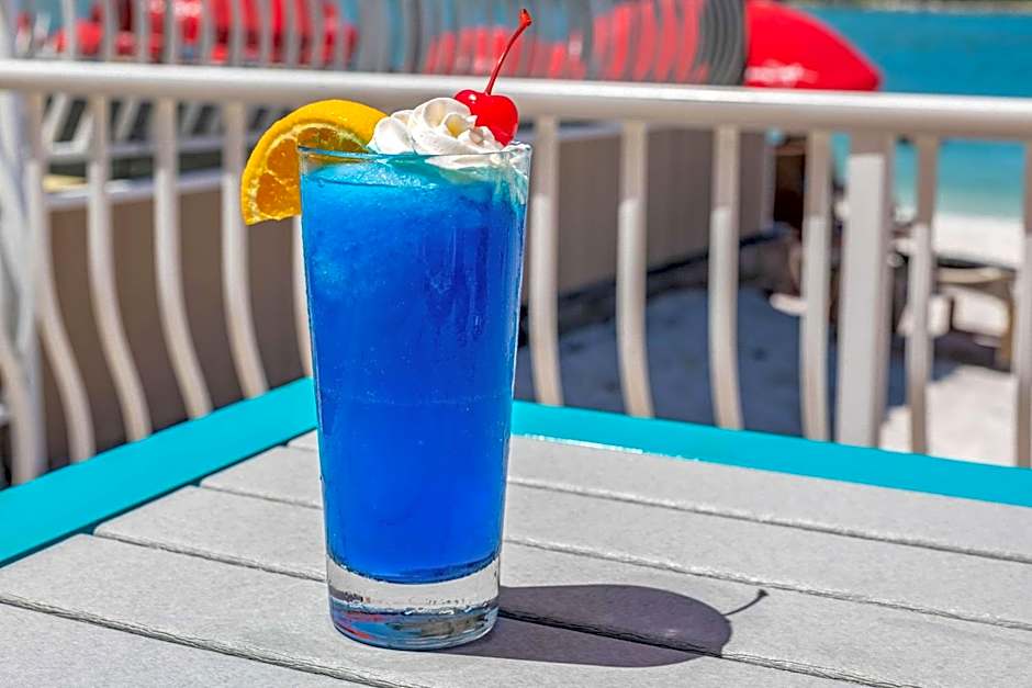 Winter the Dolphin's Beach Club, Ascend Hotel Collection