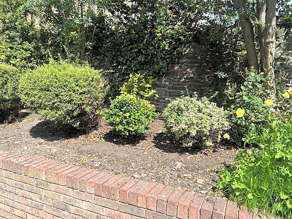 Waterloo Town House & Suites