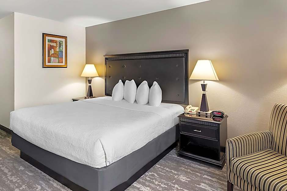 Best Western Saluki Inn