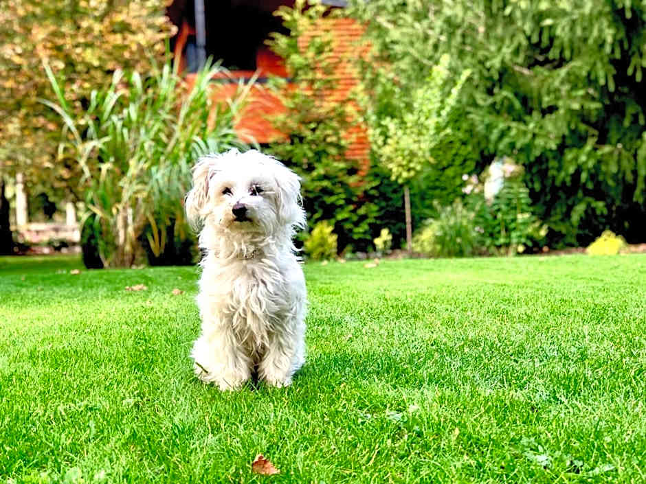 Domek w Długosiodle 2 sypialnie przy samym lesie