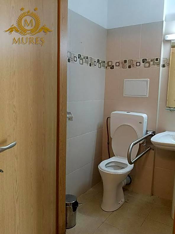 Hotel Mures