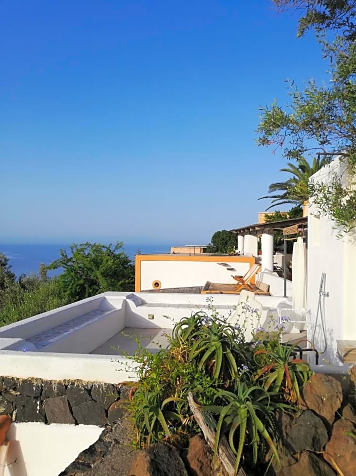 Alicudi Giardino dei Carrubi- al gradino 365