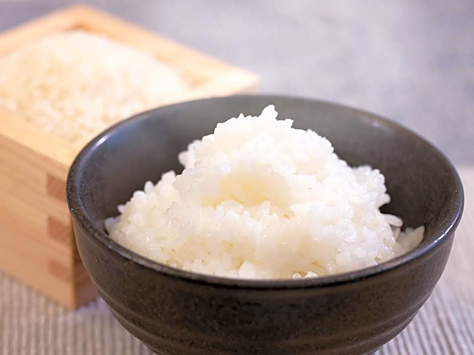 Comfort Hotel Niigata