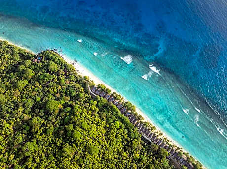 Niva Labriz Seychelles