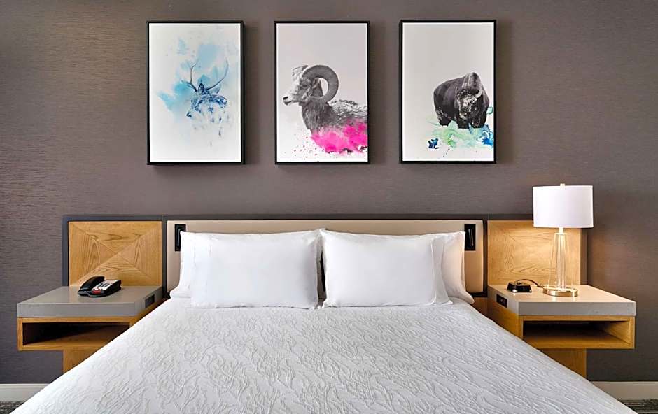 Hilton Garden Inn Bozeman
