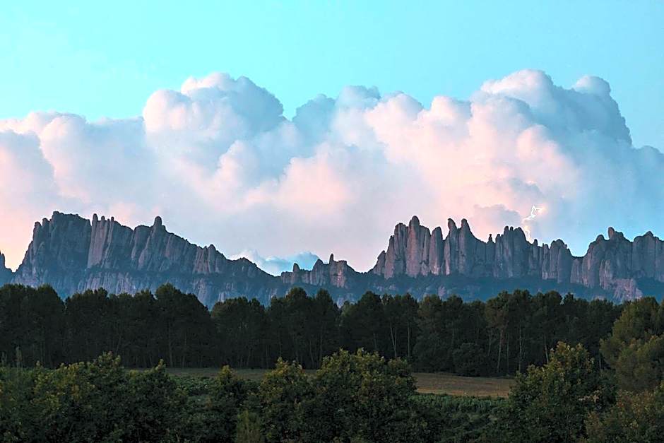 Les Cabanes de l'Oller del Mas
