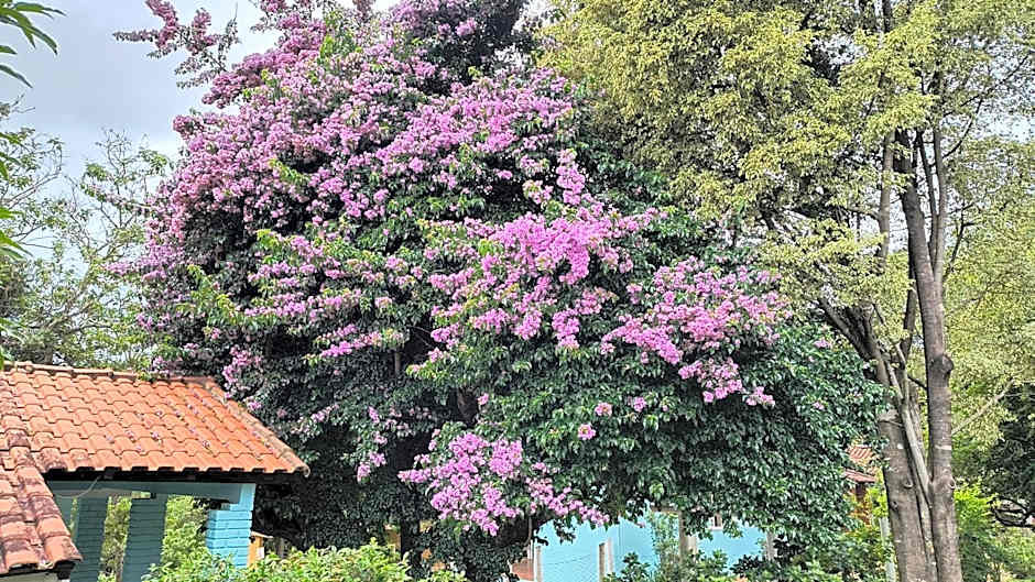 Pousada Recanto do Sossego