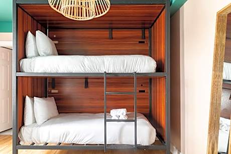 Dorm Premium Mix 6 Sharing