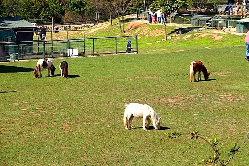 Polonezköy Country Club