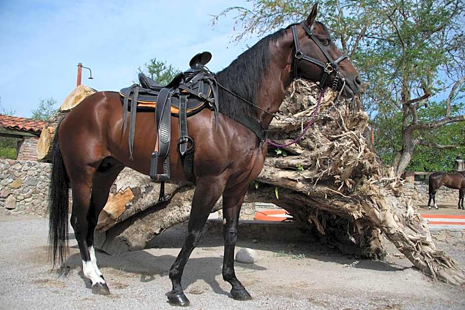 Hotel Hacienda Vista Hermosa