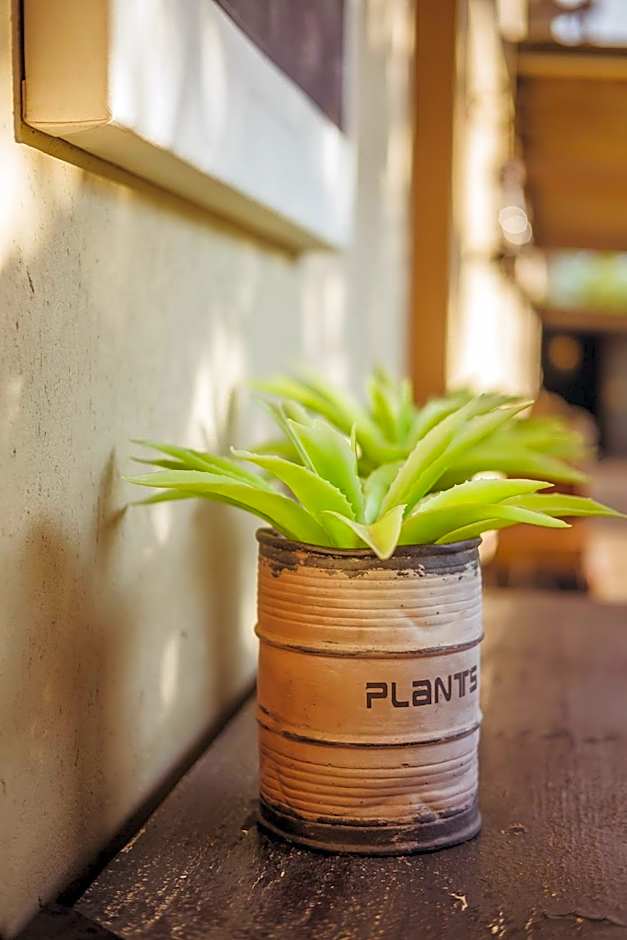 Bushveld Terrace Safari Hotel, Lodge & Spa