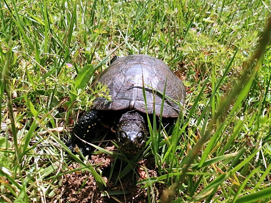 Domaine du Ris de Feu Chambres d'hôtes de charme