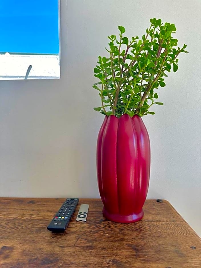 Blue Bay Studio Bayview