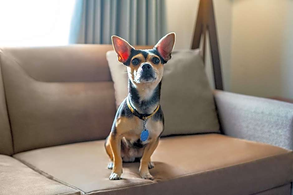 Residence Inn by Marriott Lexington North