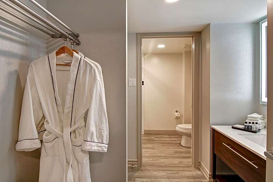 The Park Hotel London