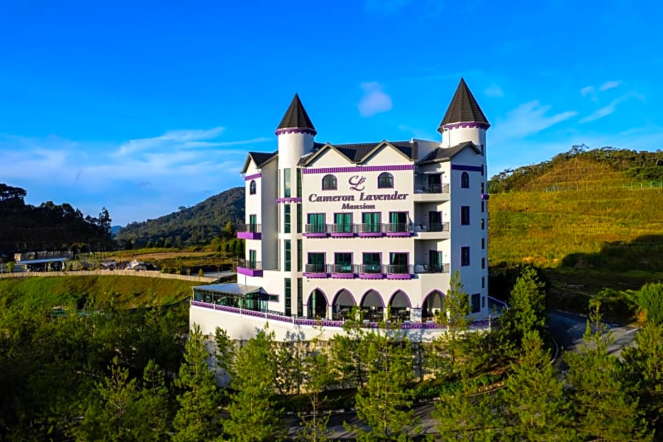 Cameron Lavender Mansion by PLAY 