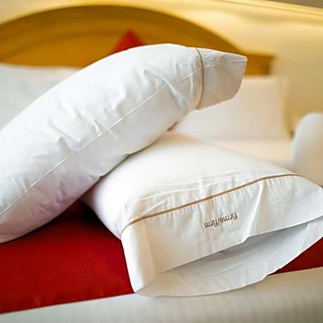 Plus Queen Room