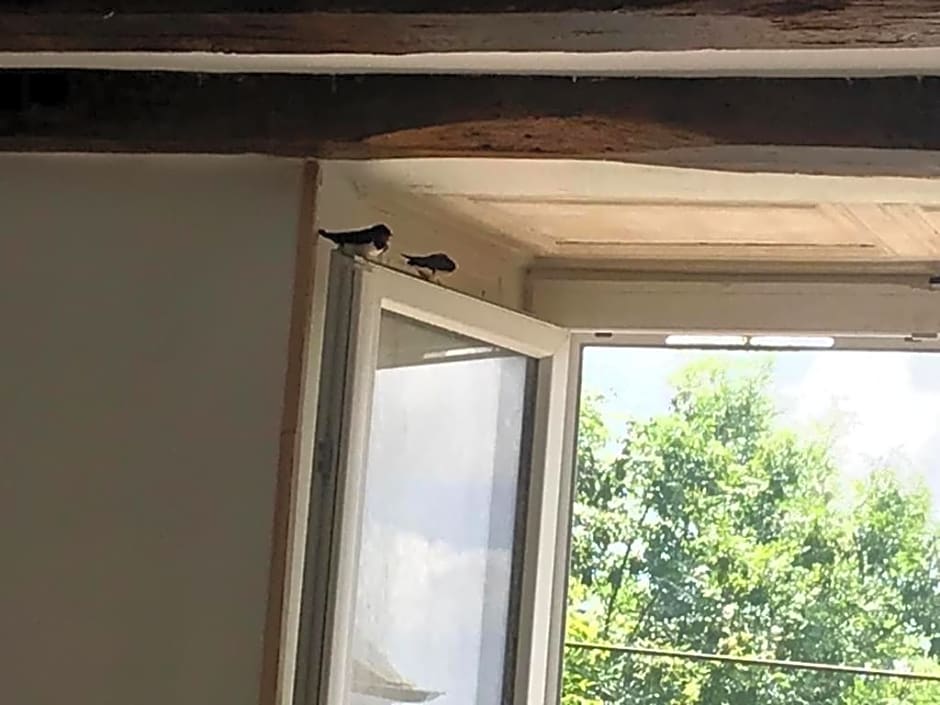 Chez Zoiseau et Zoiseautte