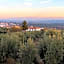 Casita of Casa Olivar