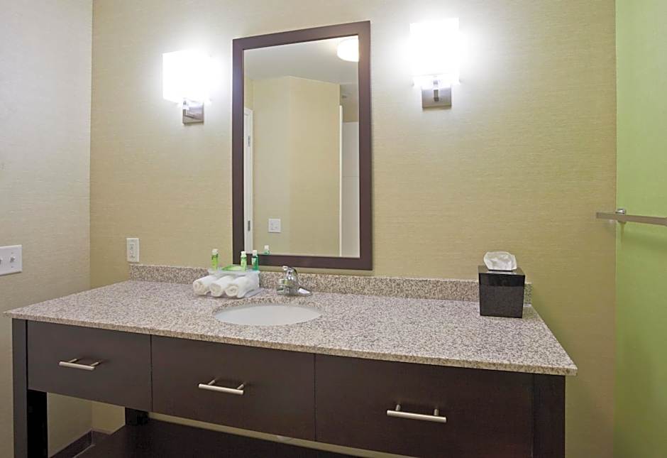 Holiday Inn Express Hotel & Suites Rogers By IHG
