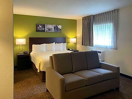 1 King Bed, Suite, Nonsmoking