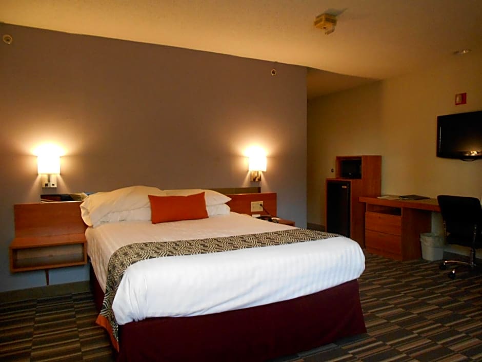 Microtel Inn By Wyndham Albany Airport