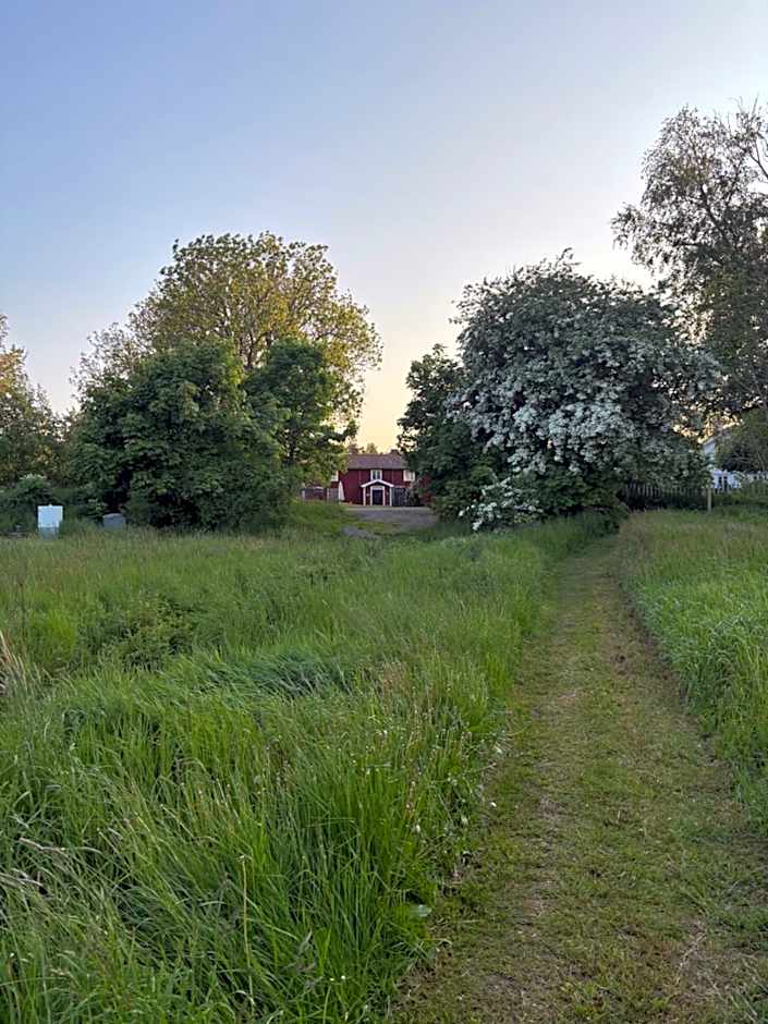 Bull-August gård vandrarhem/hostel