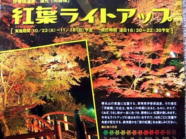 Hotel Ikaho Ginsui