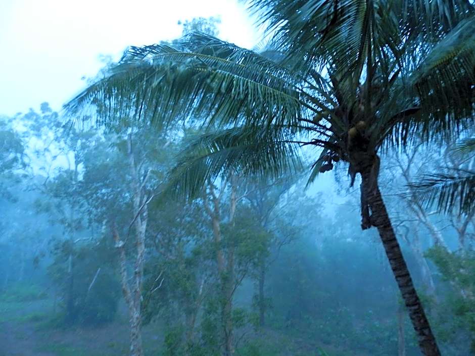 Oskar's Rain Forest Retreat