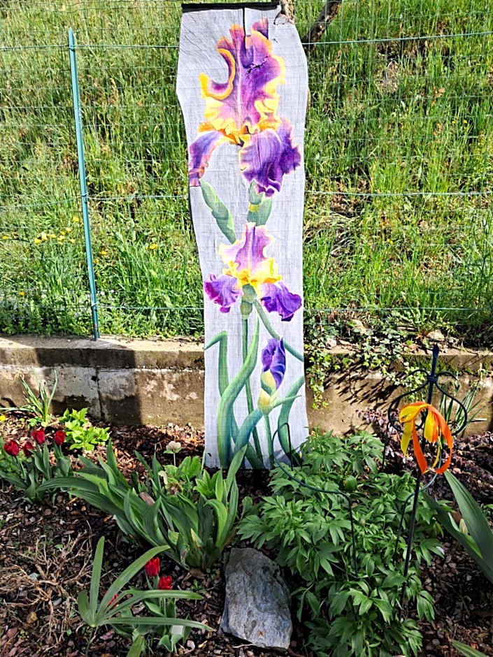 Guesthouse Ostello dell Arte