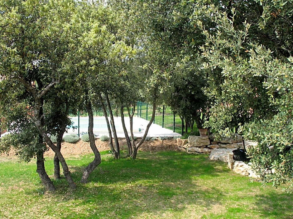 Ll POULIDETTO