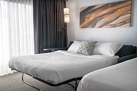 One-Bedroom Double Suite with Sofa Bed