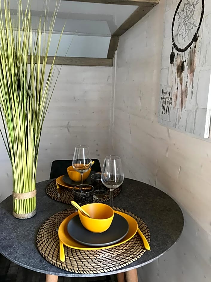 Les nuits insolites de la mothe - hébergement en bulle ou tiny house avec spa privatif