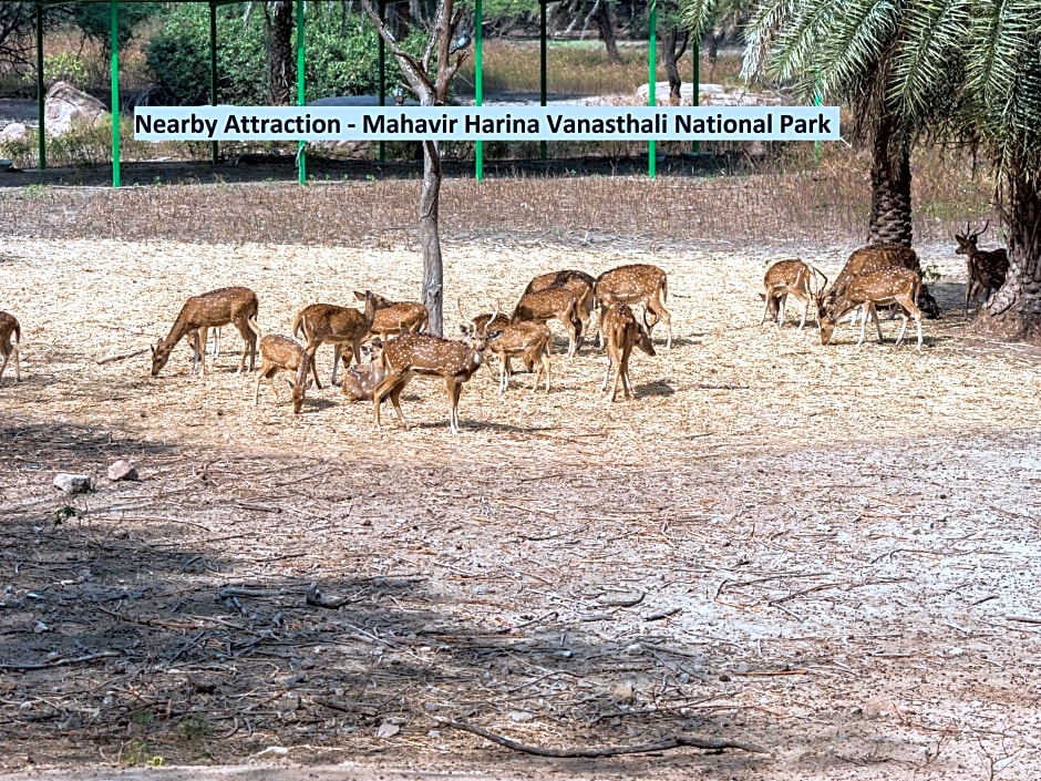 897 Hotel Surabhi Elite